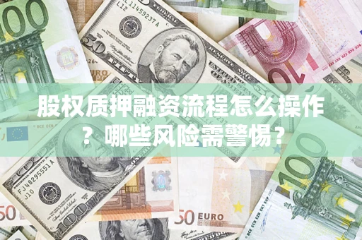 济南股权质押融资流程怎么操作？哪些风险需警惕？