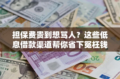 济南担保费贵到想骂人？这些低息借款渠道帮你省下冤枉钱