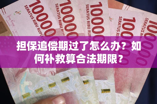 济南担保追偿期过了怎么办？如何补救算合法期限？