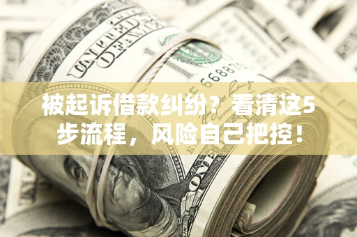 济南被起诉借款纠纷？看清这5步流程，风险自己把控！